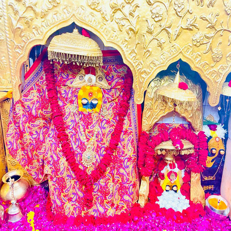 Best Travel Agents in Jammu